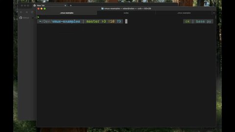 vmux preview